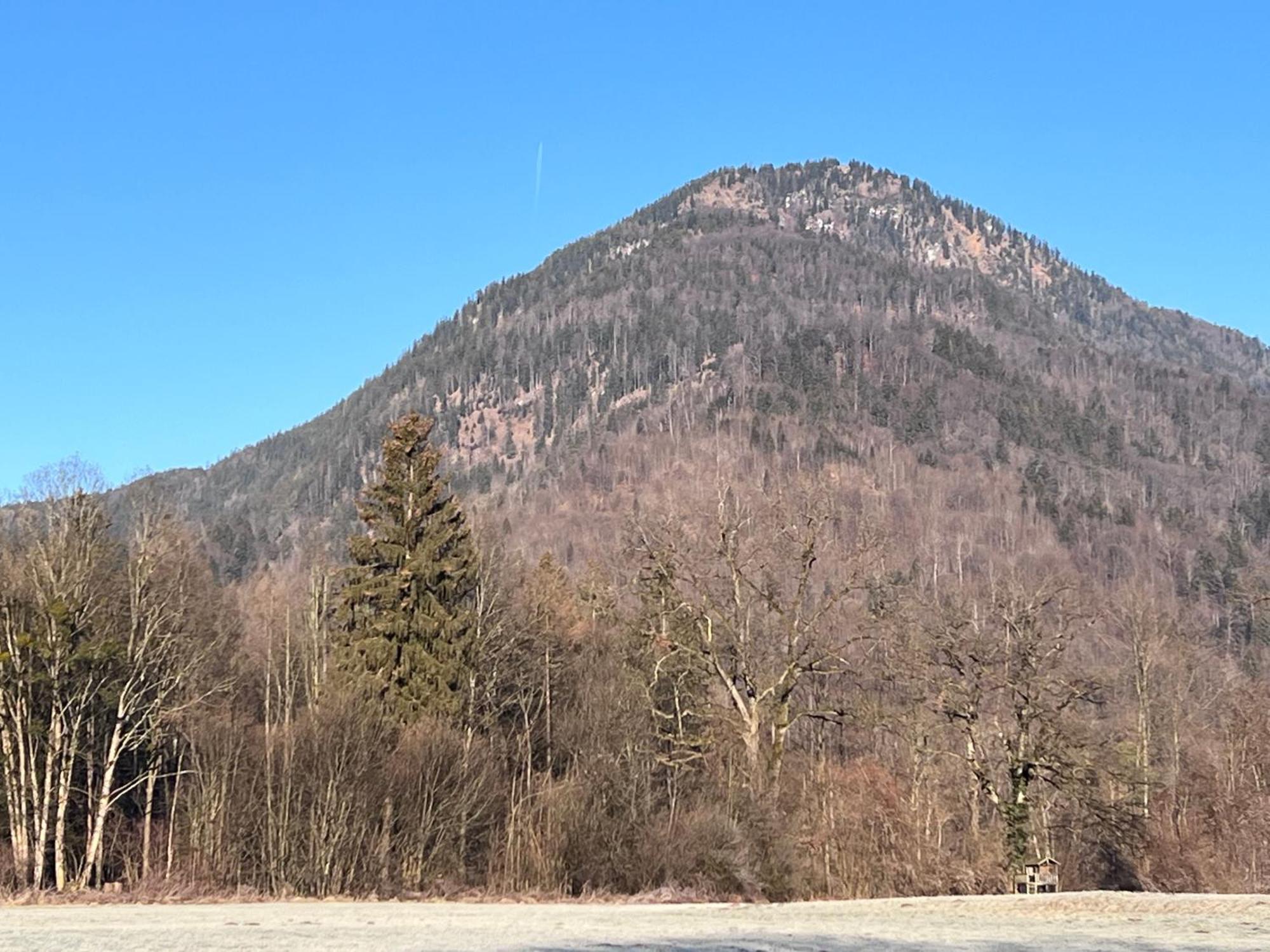 Ferienwohnung Bergwelten Oberaudorf Luaran gambar