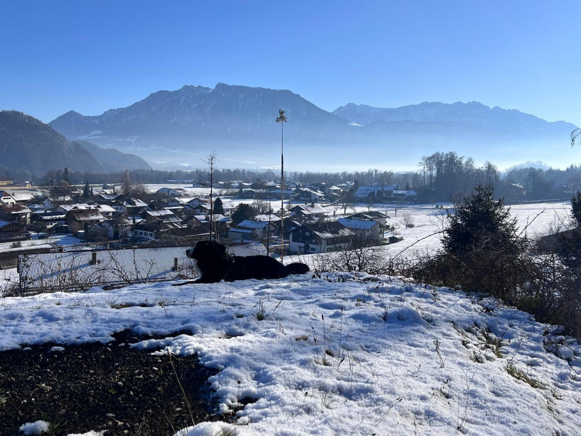 Ferienwohnung Bergwelten Oberaudorf Luaran gambar