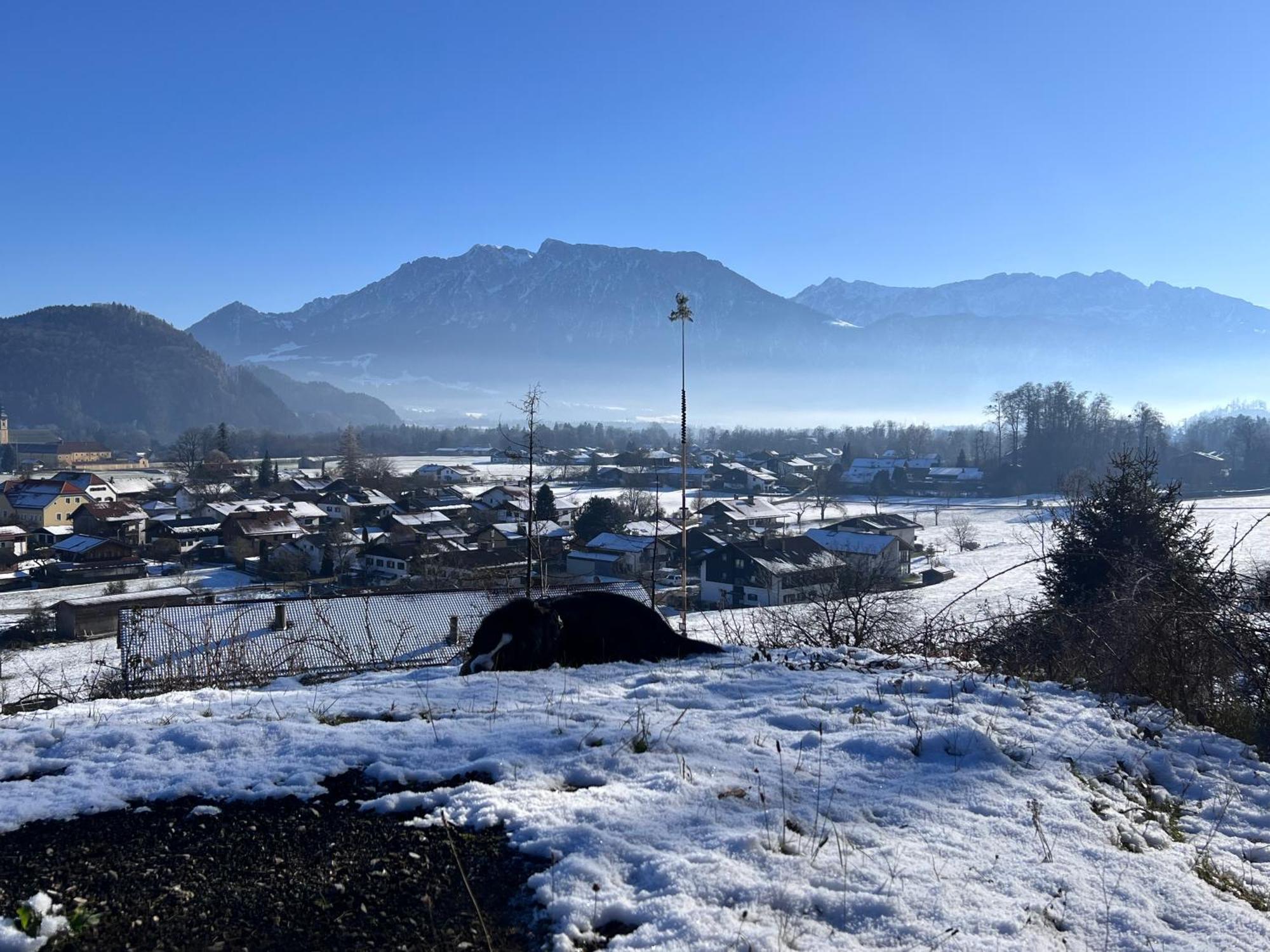 Ferienwohnung Bergwelten Oberaudorf Luaran gambar
